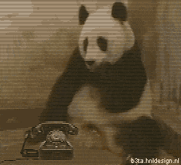 160.gif