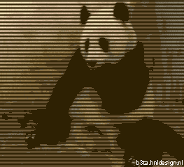 161.gif