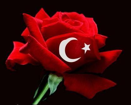 gül.jpg