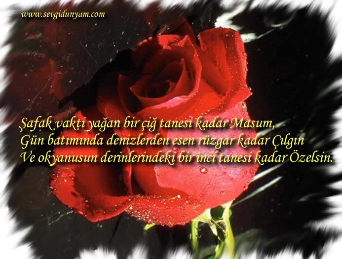 gul7.jpg